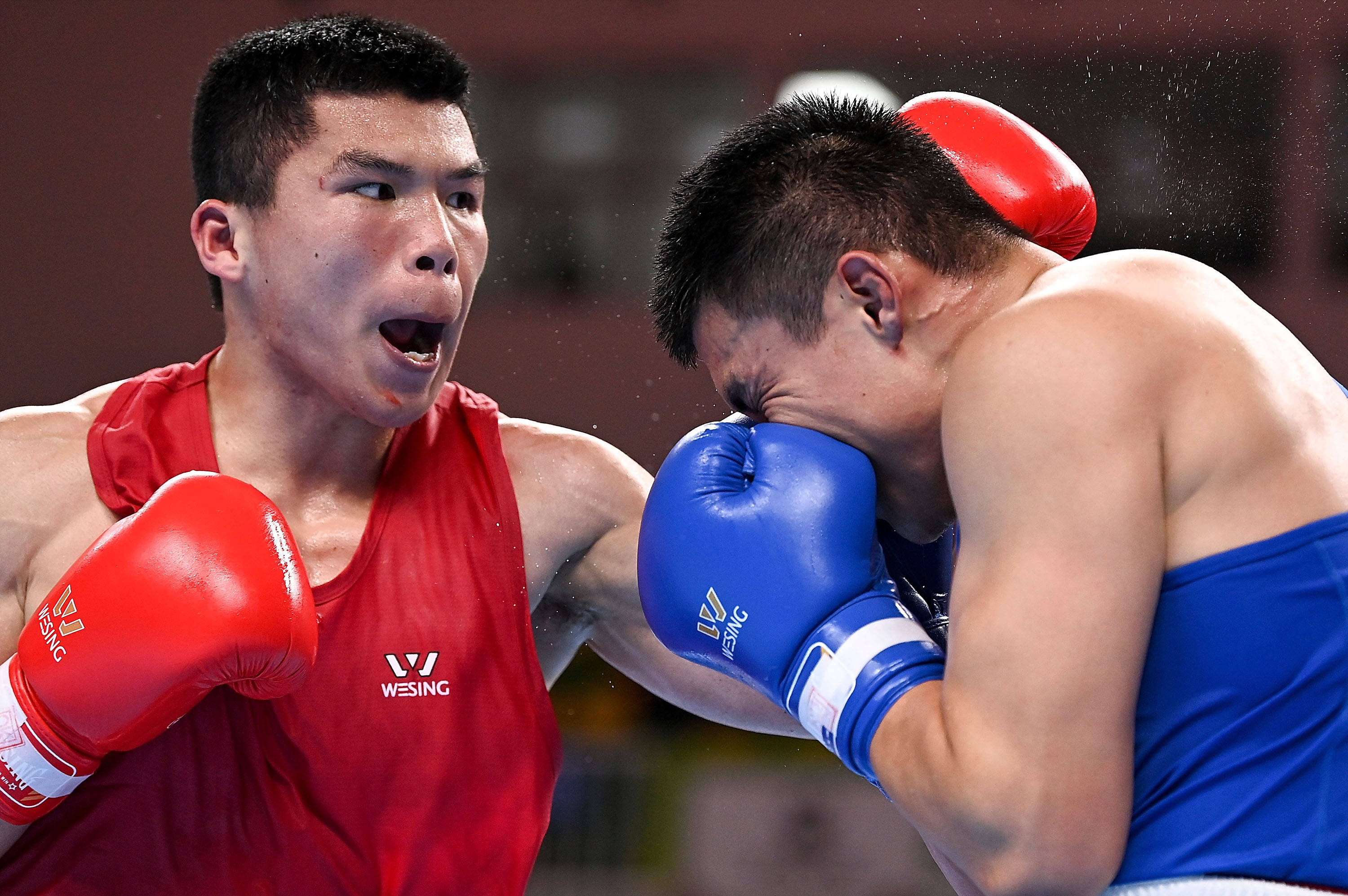 拳击比赛瞬间精彩,选手风采令人惊叹!,全场震撼的简单介绍 拳击比赛瞬间精彩,选手风采令人惊叹!,全场震撼的简单介绍