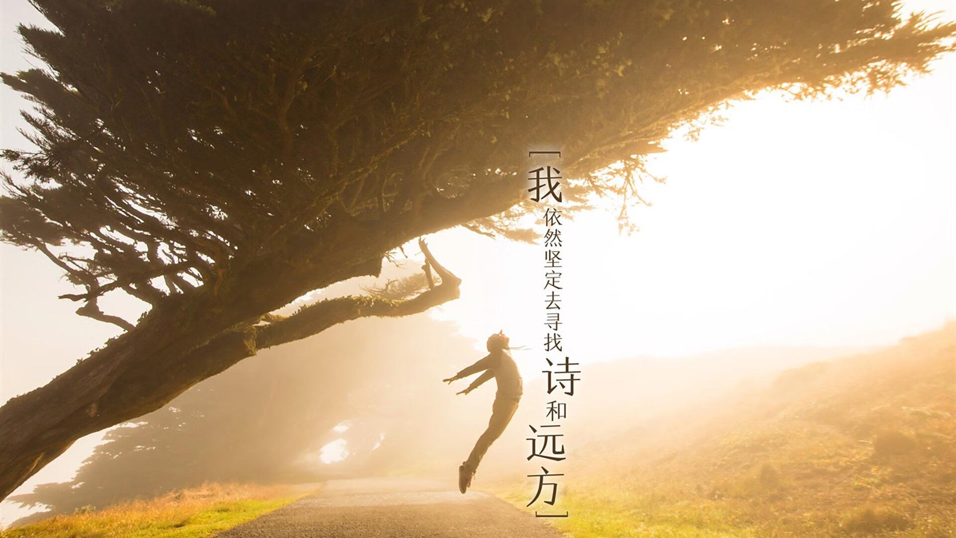 欧冠决赛的极致压力，恰是克莱·汤普森最熟悉的舞台—解析大场面先生的冷静基因